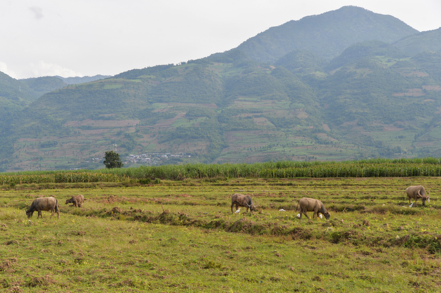 400公里自驾游攻略图,400公里自驾游全过程