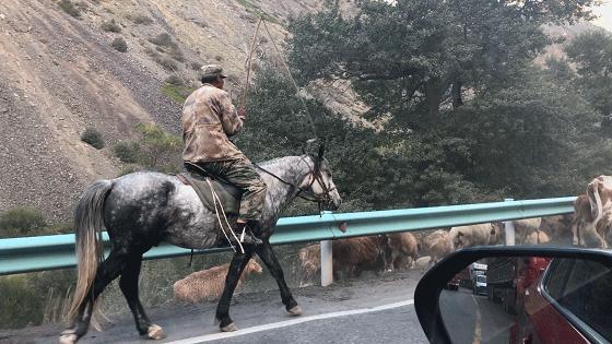 北疆自驾13天路线推荐,国内3条最美出境自驾线