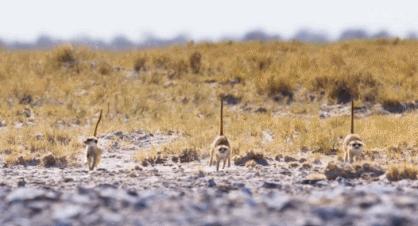 豆瓣评分9.5以上的国产电影有哪些,十部顶级神片推荐