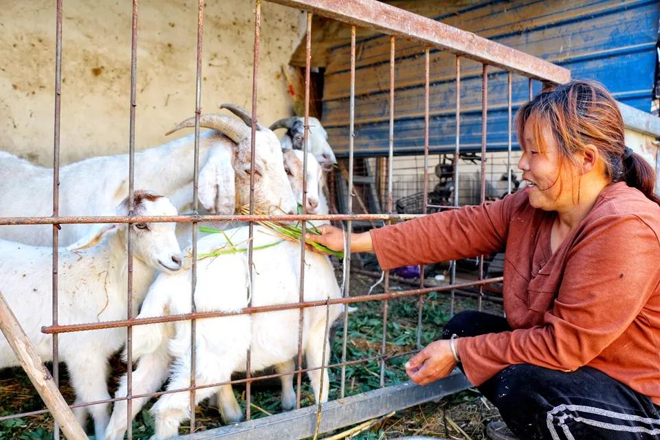 永城脱贫攻坚普查,贫困村如何有效脱贫致富