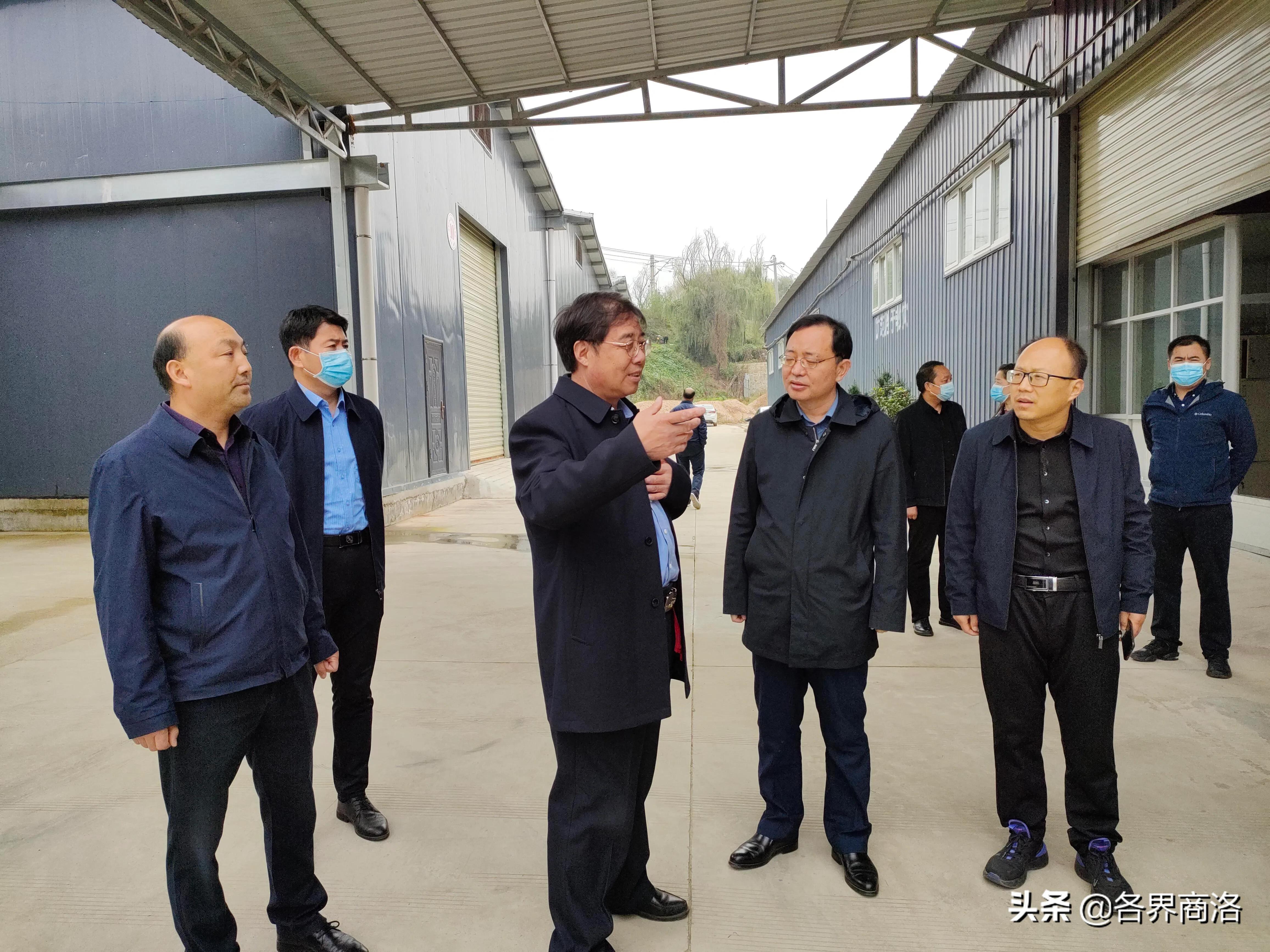 南京对口帮扶商洛市工作组来陕西蓝晟医药公司调研指导工作