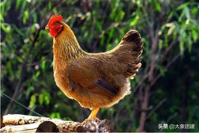 清远宝晶宫旅游注意事项,清远宝晶宫有什么好玩的地方