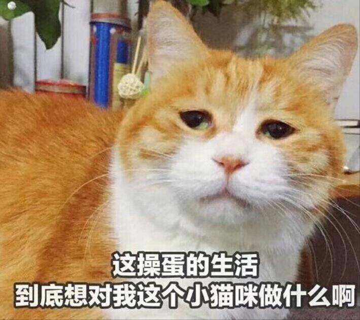 排卵痛是正在排卵吗,排卵痛是正在排卵还是排完了