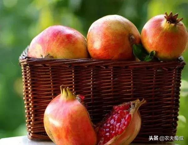 雅诗兰黛清甜汁,可以吃的雅诗兰黛是什么