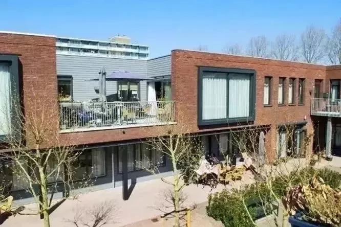 152名老人被骗8年却觉得无比快乐,世界上最伟大套路