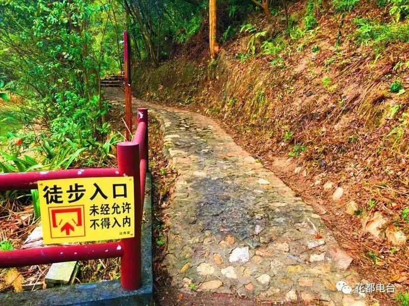 花都芙蓉嶂附近有什么美食,花都芙蓉嶂风景区烧烤场
