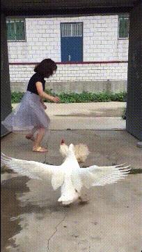 杩欒叞鎵殑鍙互,杩欒叞璋侀《寰椾綇