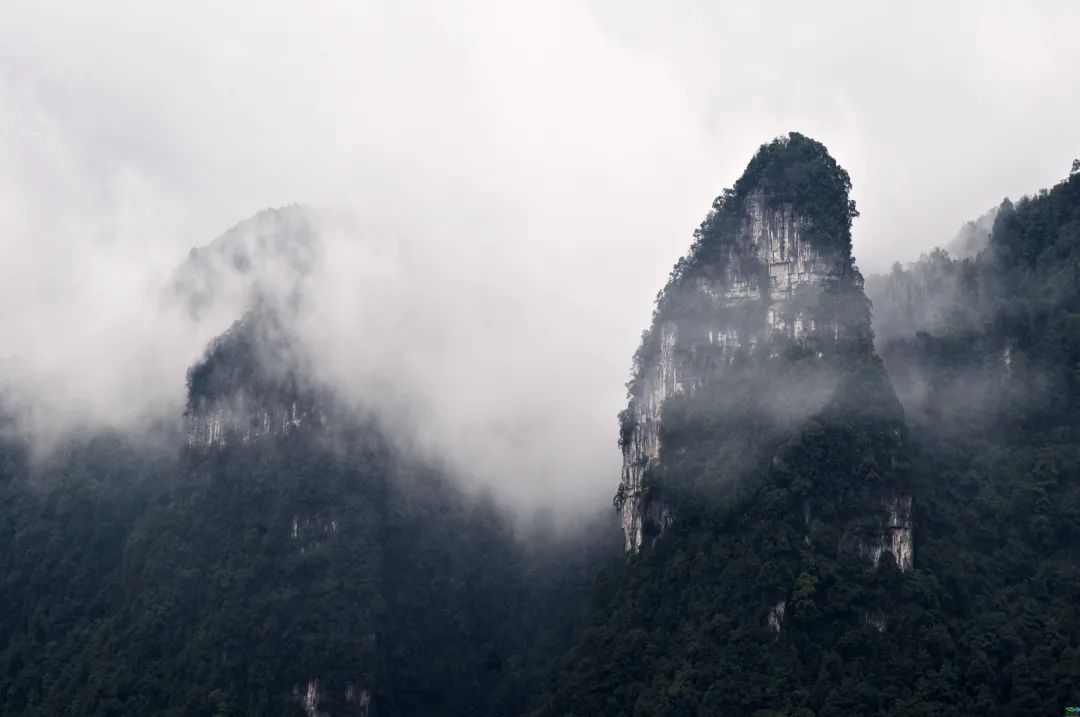 重庆避暑黑山谷,重庆万盛黑山谷生态旅游区