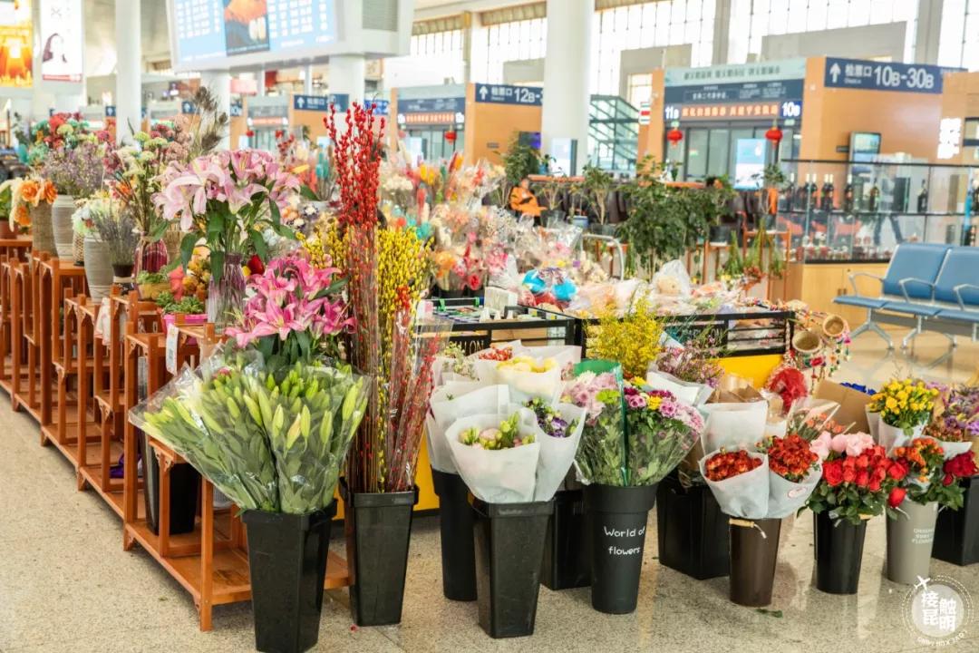 直击春运首日各地出行现场,春运首日直击带上祝福温暖回家