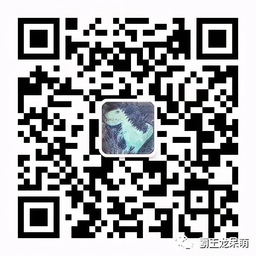 鎺㈢鎭愰緳灞辫胺鑷姩鎾斁鏁呬簨,鎺㈢鎭愰緳灞辫胺