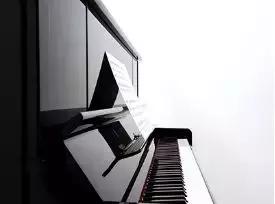 雅马哈yux二手成交价,雅马哈yus系列和yux系列哪个好