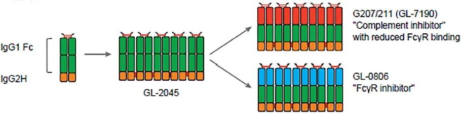 下一代抗体改造之路--自免疫疾病,上)