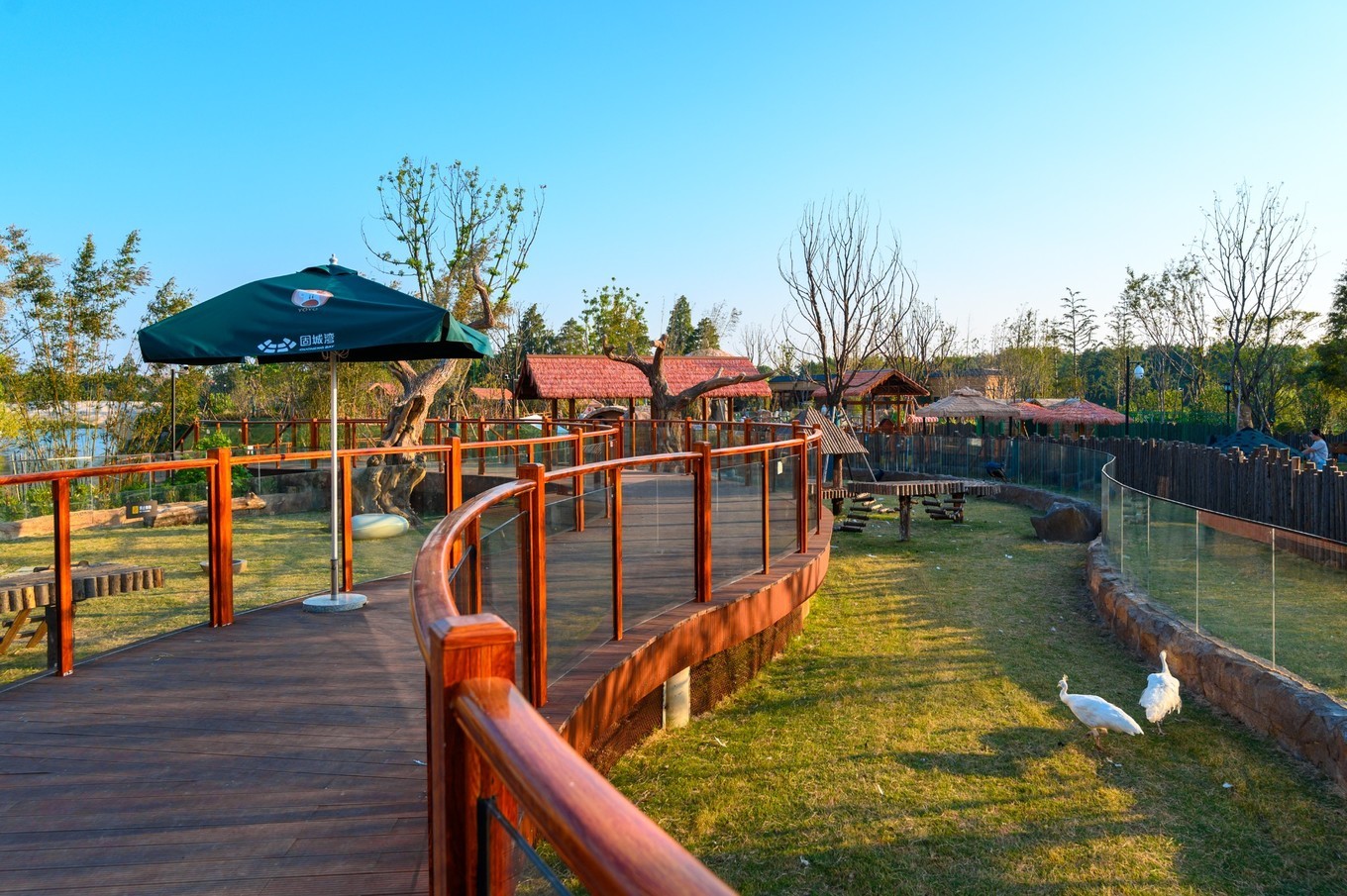 走进南京高淳,打卡网红打卡地固城湾景区,品尝固城湖螃蟹