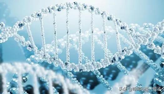 抑郁症与基因的关系,抑郁症对精子有影响吗