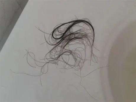 地上的头发怎样才能打扫干净,地板上全是碎头发怎么清理