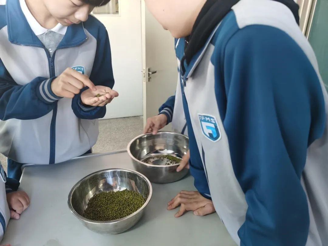 社团一年的美好时光,泰达一中社团展演