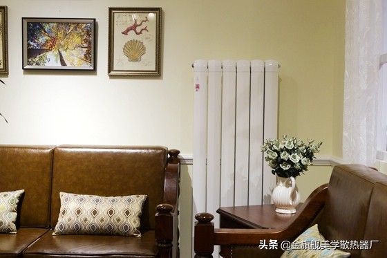 洗车房暖气片水垢怎么去除,如何清理暖气片管道里的水垢