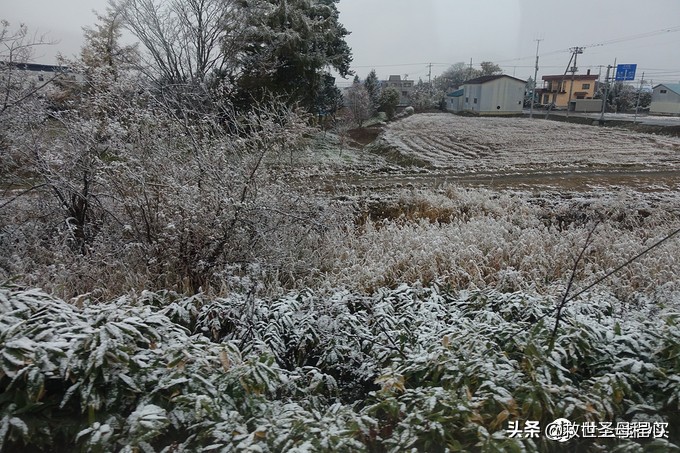 日本旅游工资流水单什么样,日本流水账式旅行