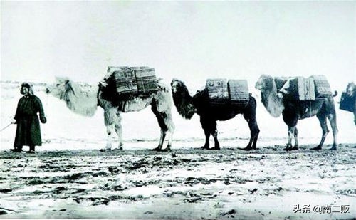 晋商乔氏成功的历史,晋商乔氏家族