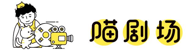 猫猫静悄悄歌曲,当猫猫静悄悄地过去偷吃你的东西