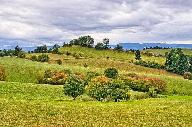 通过国家注册的深度水解配方奶粉,通过注册的奶粉配方名单