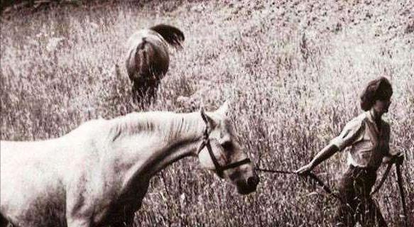 肯尼迪夫人杰奎琳梦露,肯尼迪夫人杰奎琳和玛丽莲梦露