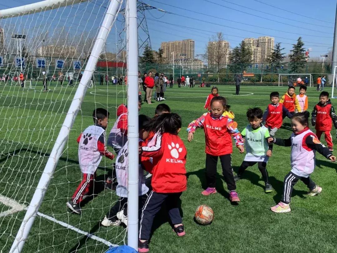 3月29日足球赛,幼儿足球正式比赛