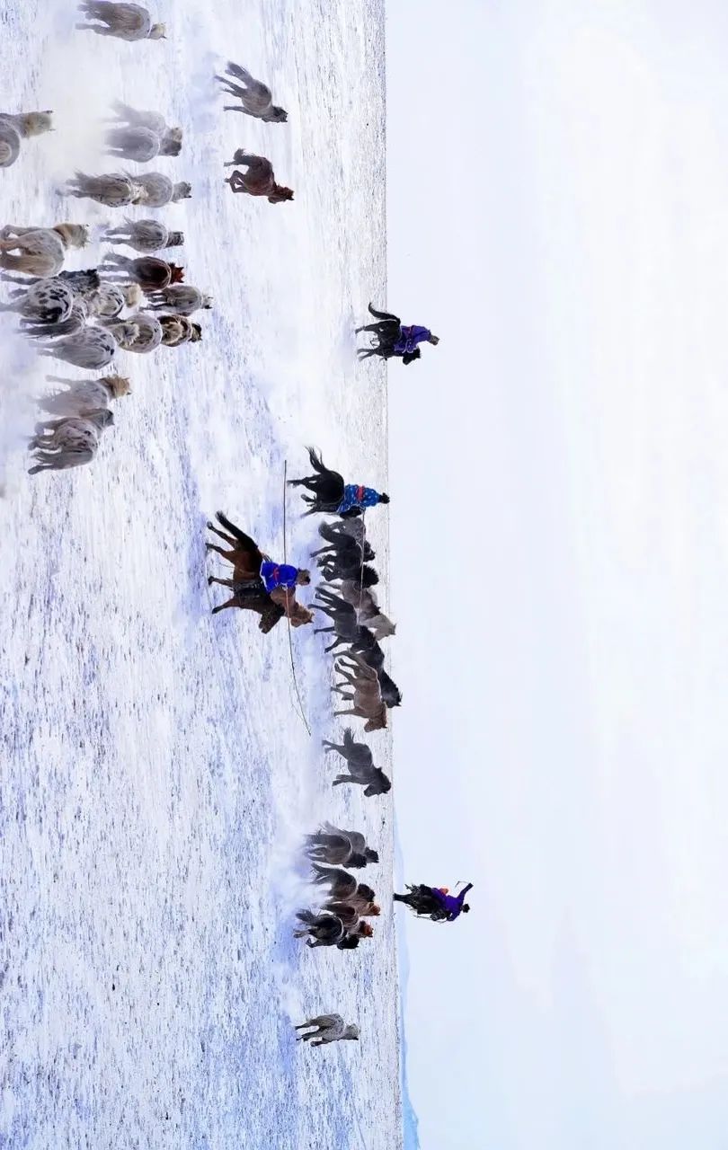 青白江不修地铁是真的吗,青白江不通地铁是地理原因吗