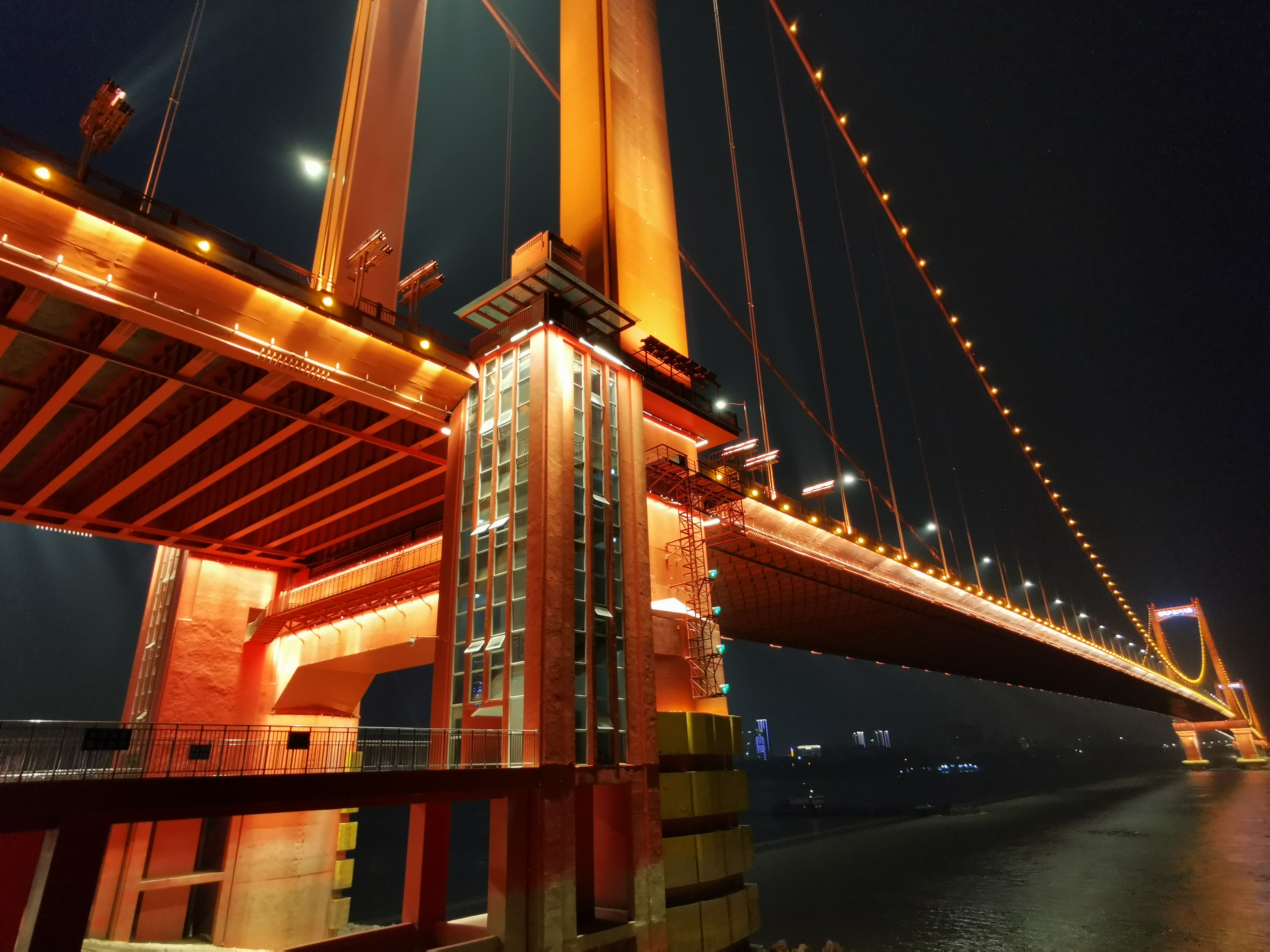 甲鱼店优势劣势,2019全国甲鱼销量