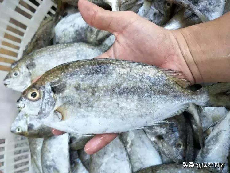 海鲜大荟萃,常见贝壳类海鲜