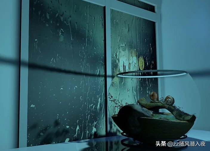 饲养蜗牛记录,如何饲养蜗牛蛋