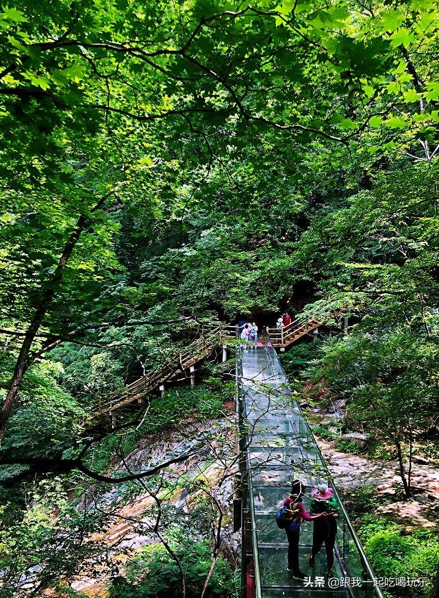 被中外地质学家誉为“地质摇篮”“地学殿堂”原来就在辽宁