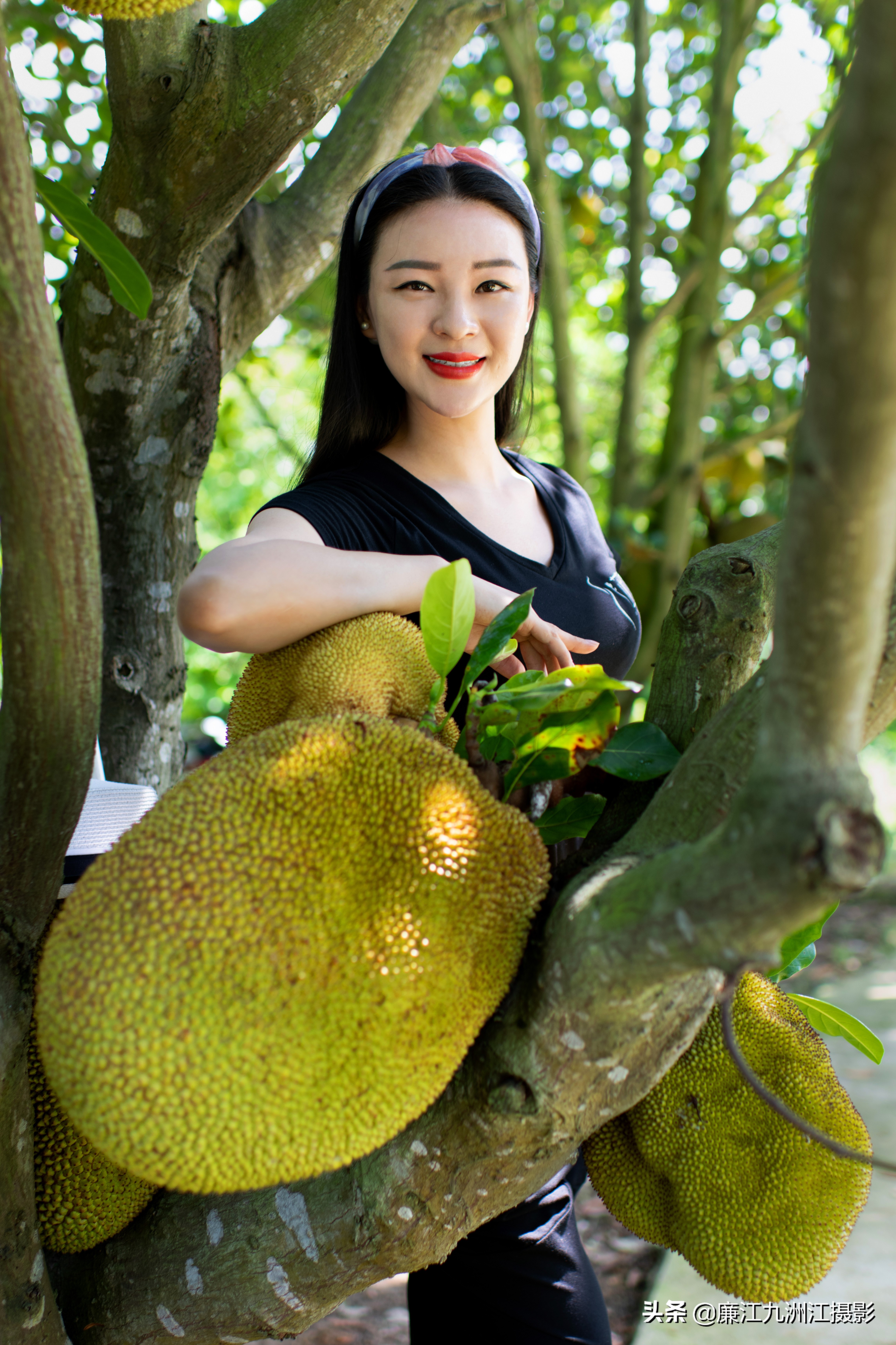 湛江市廉江荔枝节开幕式视频,廉江荔枝文化节