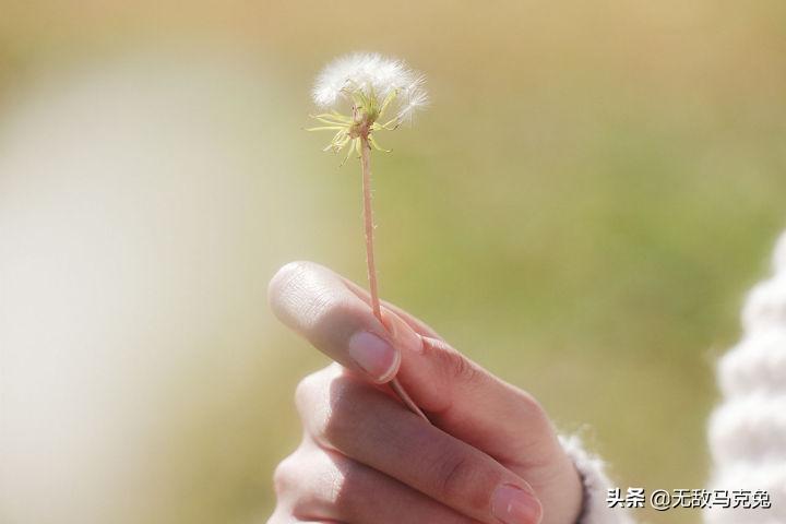 新手入门无反相机推荐,入门无反全画幅相机推荐