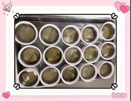 成都新川中学,成都私立学校新黑马