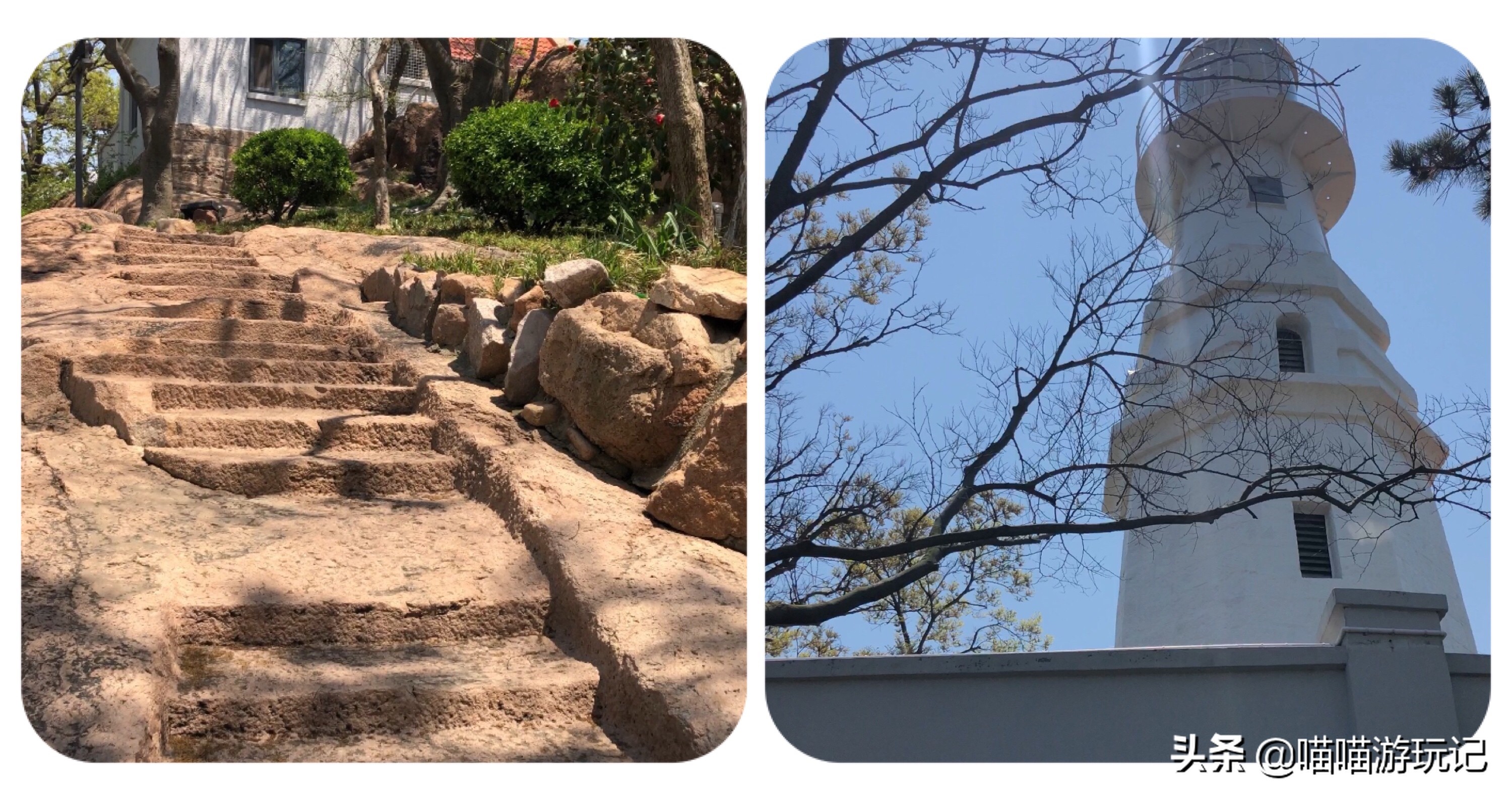 小青岛公园评价,青岛小青岛公园收费