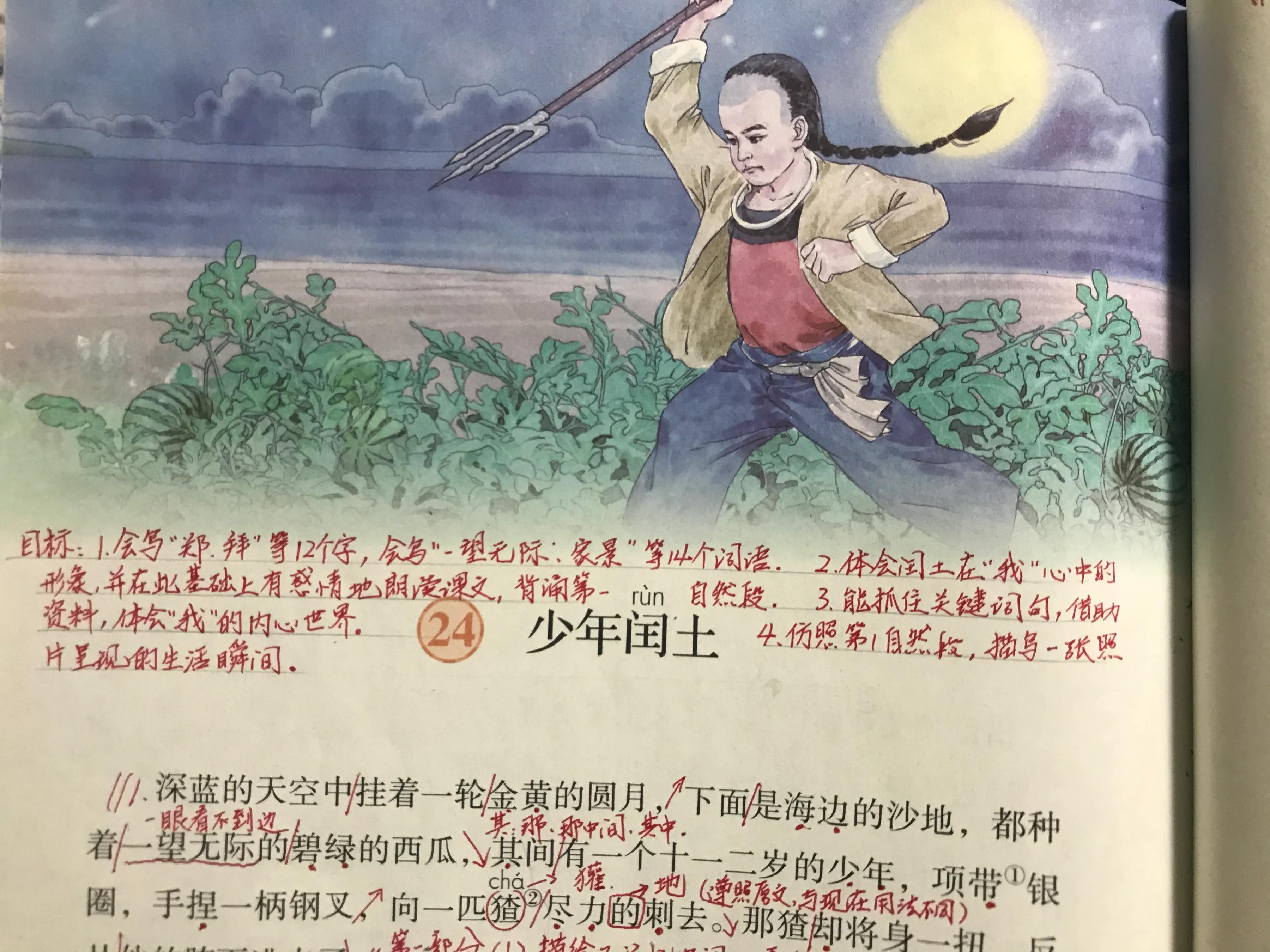 六年语文《少年闰土》,看资深教师讲解全文和课后题,知识点不少