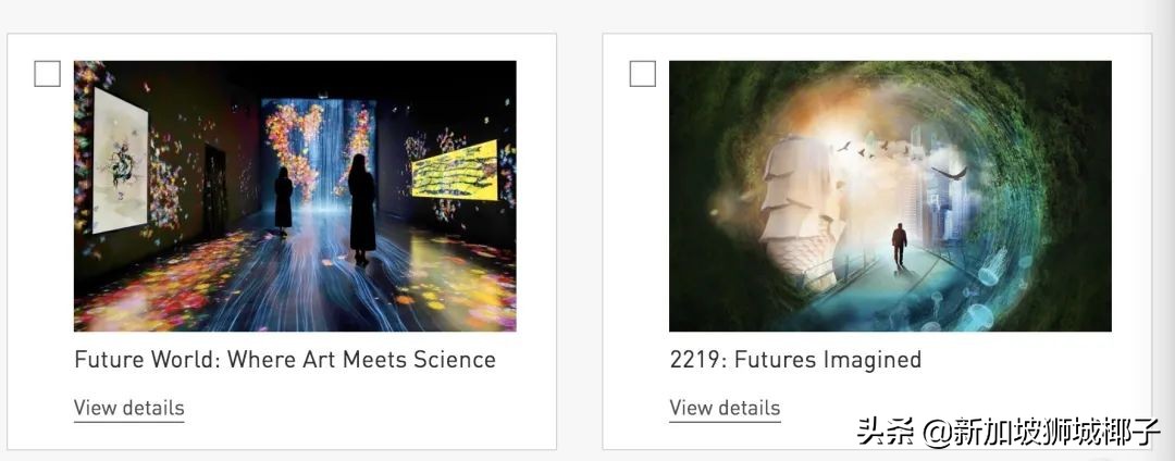 新加坡国庆节怎么玩,新加坡国庆节活动