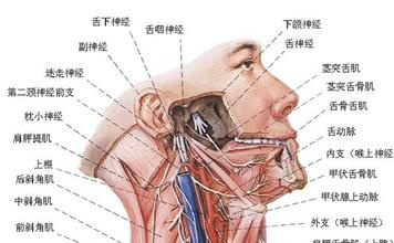 面神经炎最快的恢复办法,面神经炎的症状