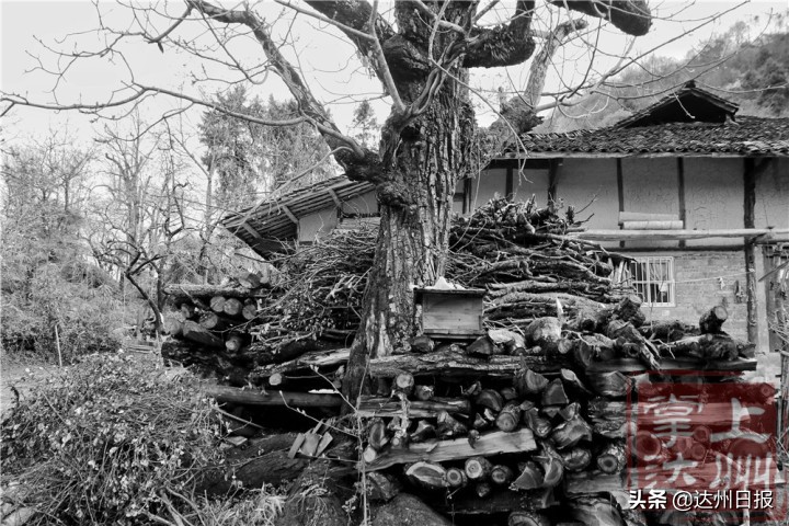 赏古村,赏古村落风景