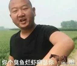 网上的一些土味视频盘点,土味视频被网爆