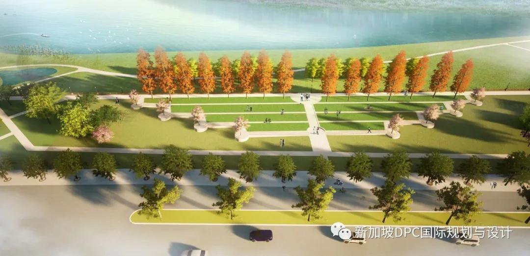 被盛赞“很精彩!很惊艳!很欣喜!”南充最美公园华丽来袭|DPC