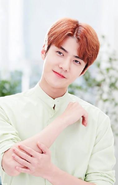 exo与sm合约到期会解散么,exo成员合约到期