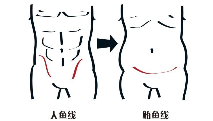 人鱼线和马甲线,人鱼线和马甲线在哪里