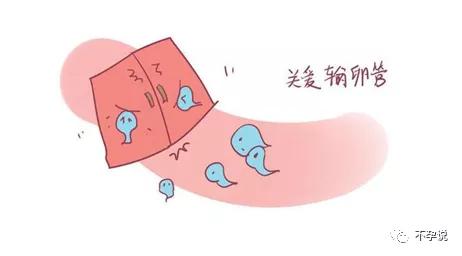 输卵管造影vs输卵管通液