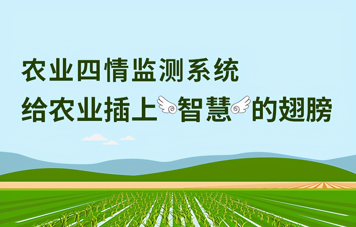 智能监测技术助力农业农村,智慧农业系统监测图
