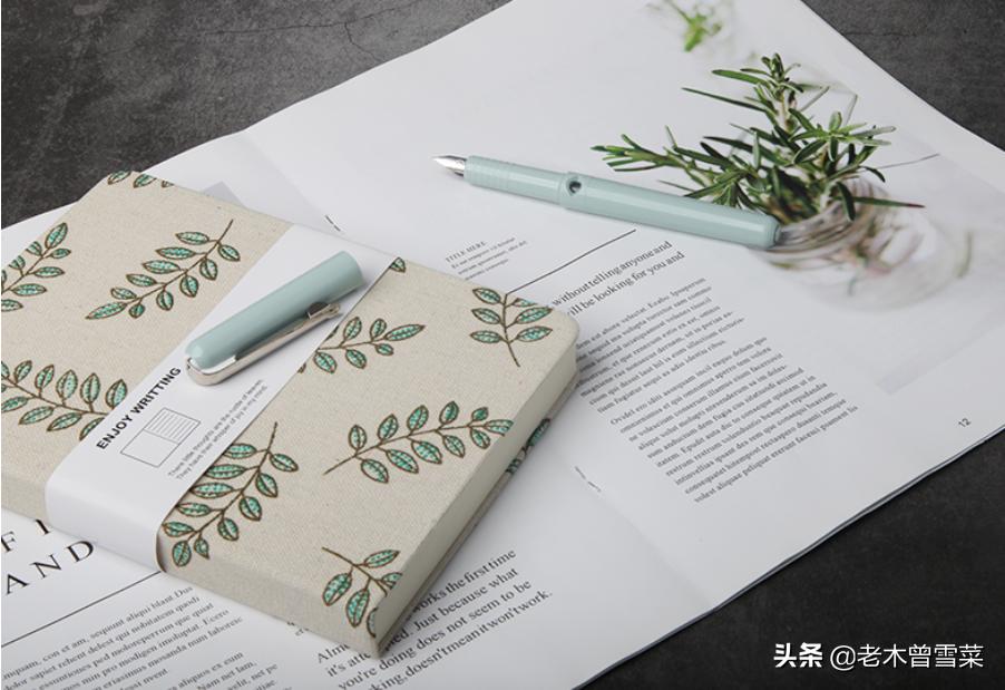 日系钢笔入门基础知识,初学钢笔入门推荐