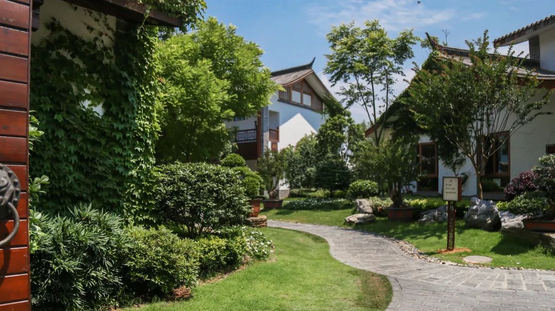 乘风破浪的姐姐们的真实感受,乘风破浪的姐姐们有多累