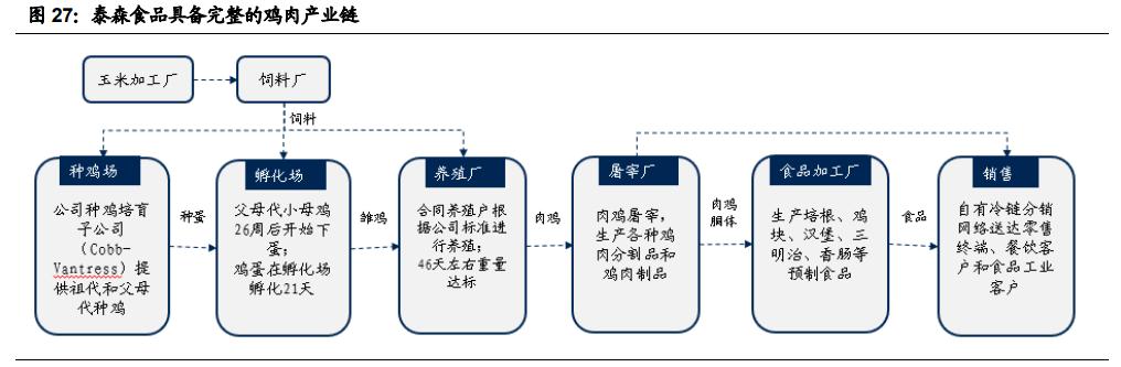 圣农发展十亿白羽鸡地址,圣农发展白羽鸡龙头