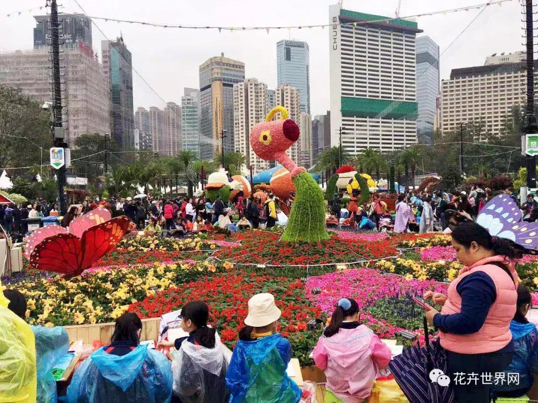 香港花卉艺术展,共赴盛会活动
